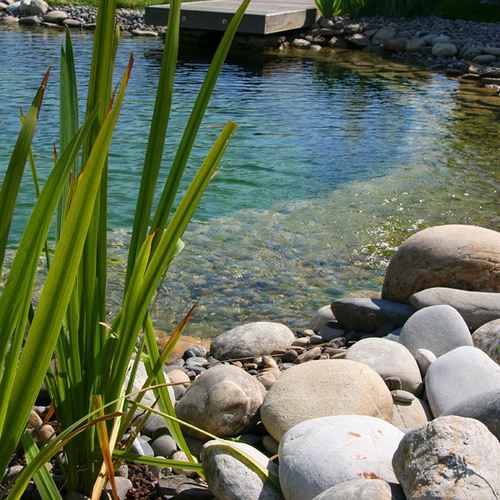 Piscine naturelle